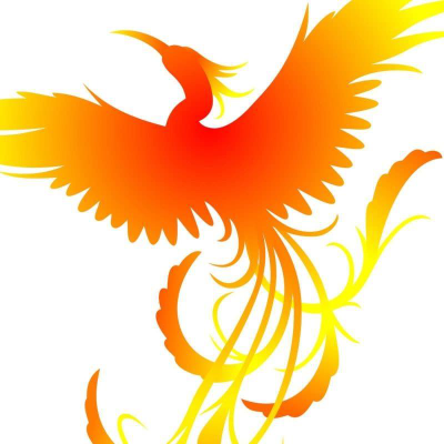 Logo ONG