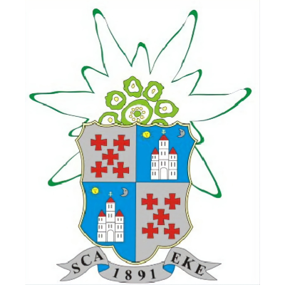 Logo ONG